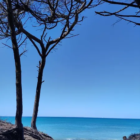 Mare Toscano Riparbella