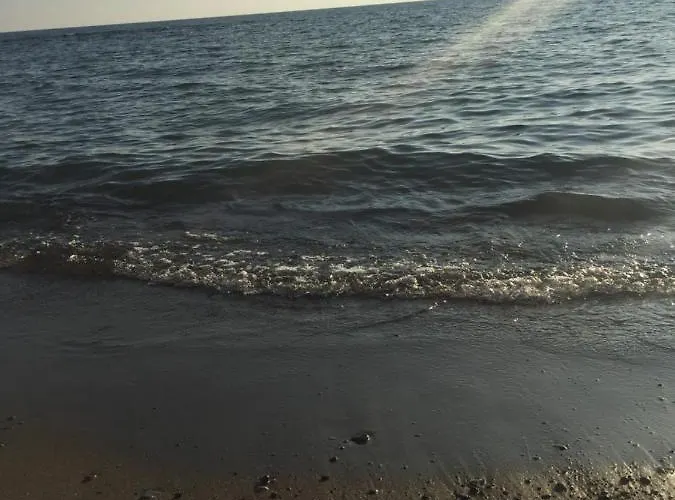 Mare Toscano *